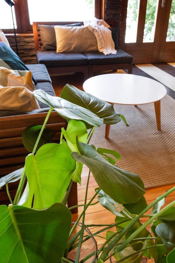 River House Vasa Belgrad Zewnętrze zdjęcie