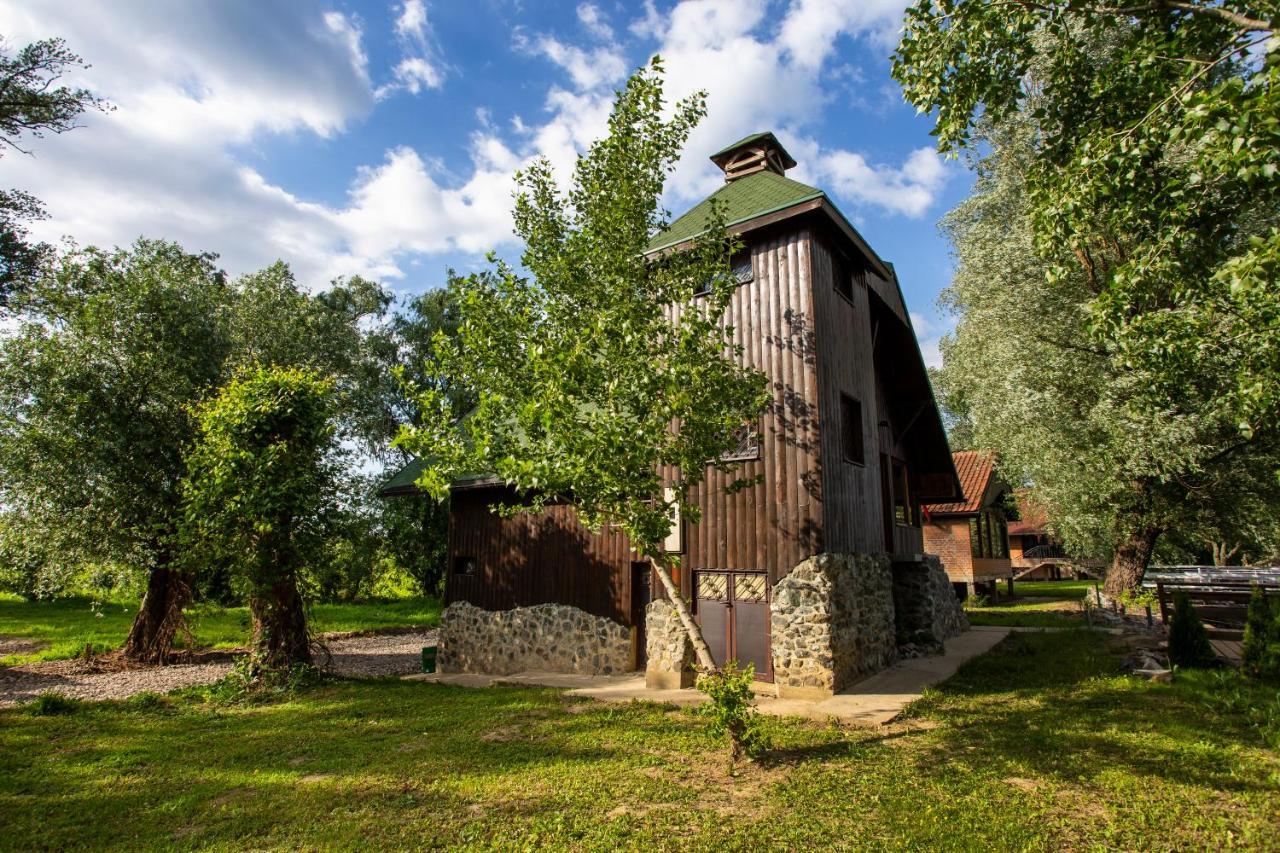 River House Vasa Belgrad Zewnętrze zdjęcie